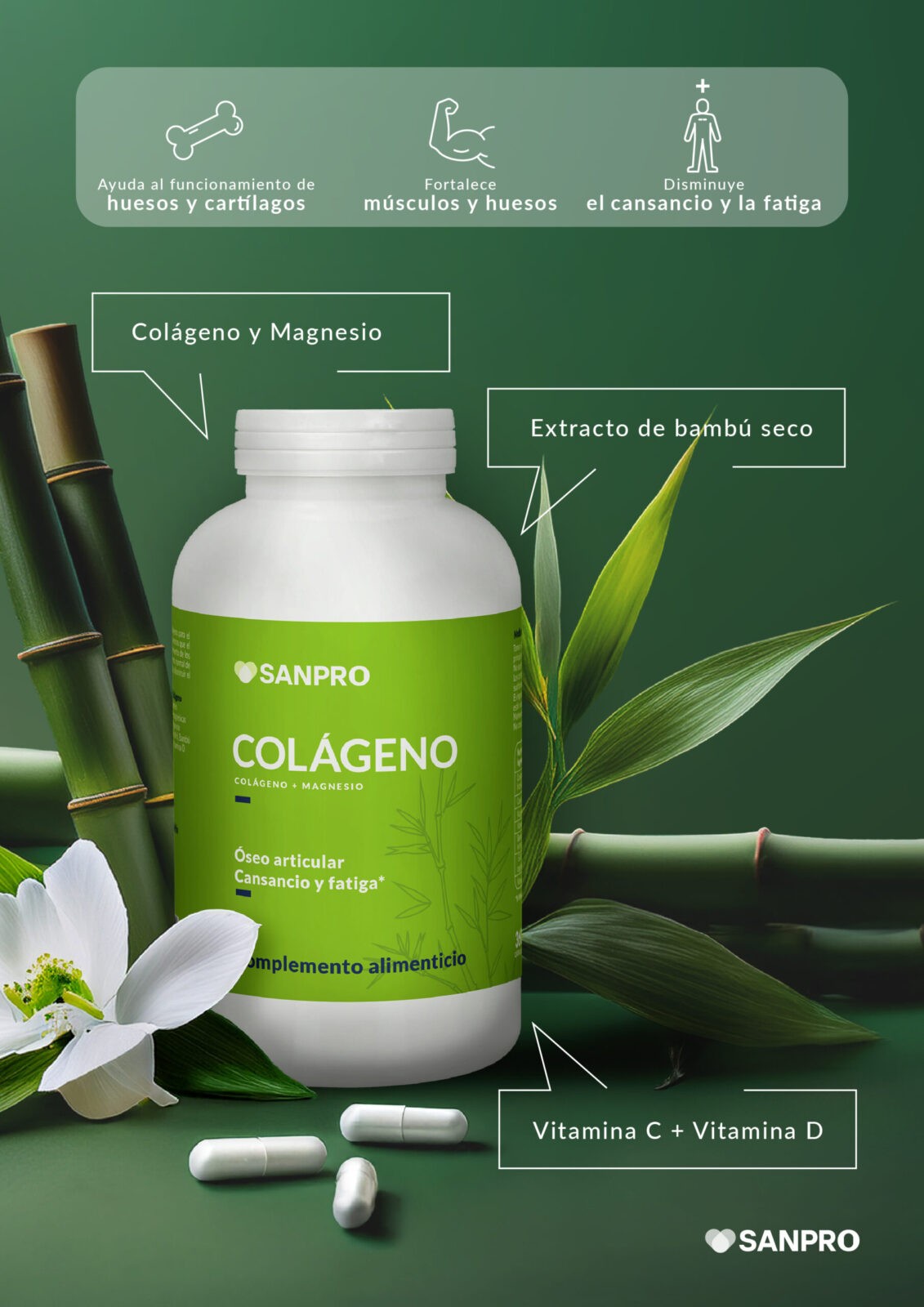 Colágeno Hidrolizado + Magnesio