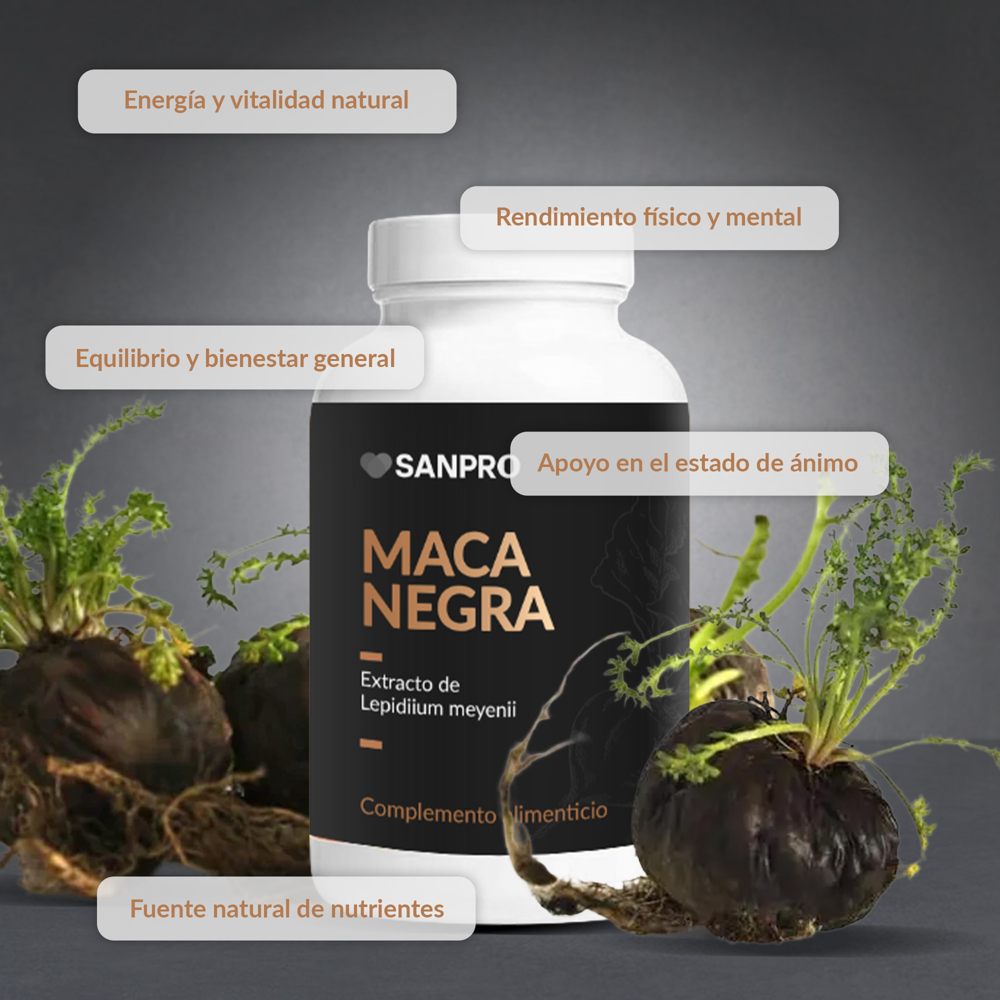 Maca Negra
